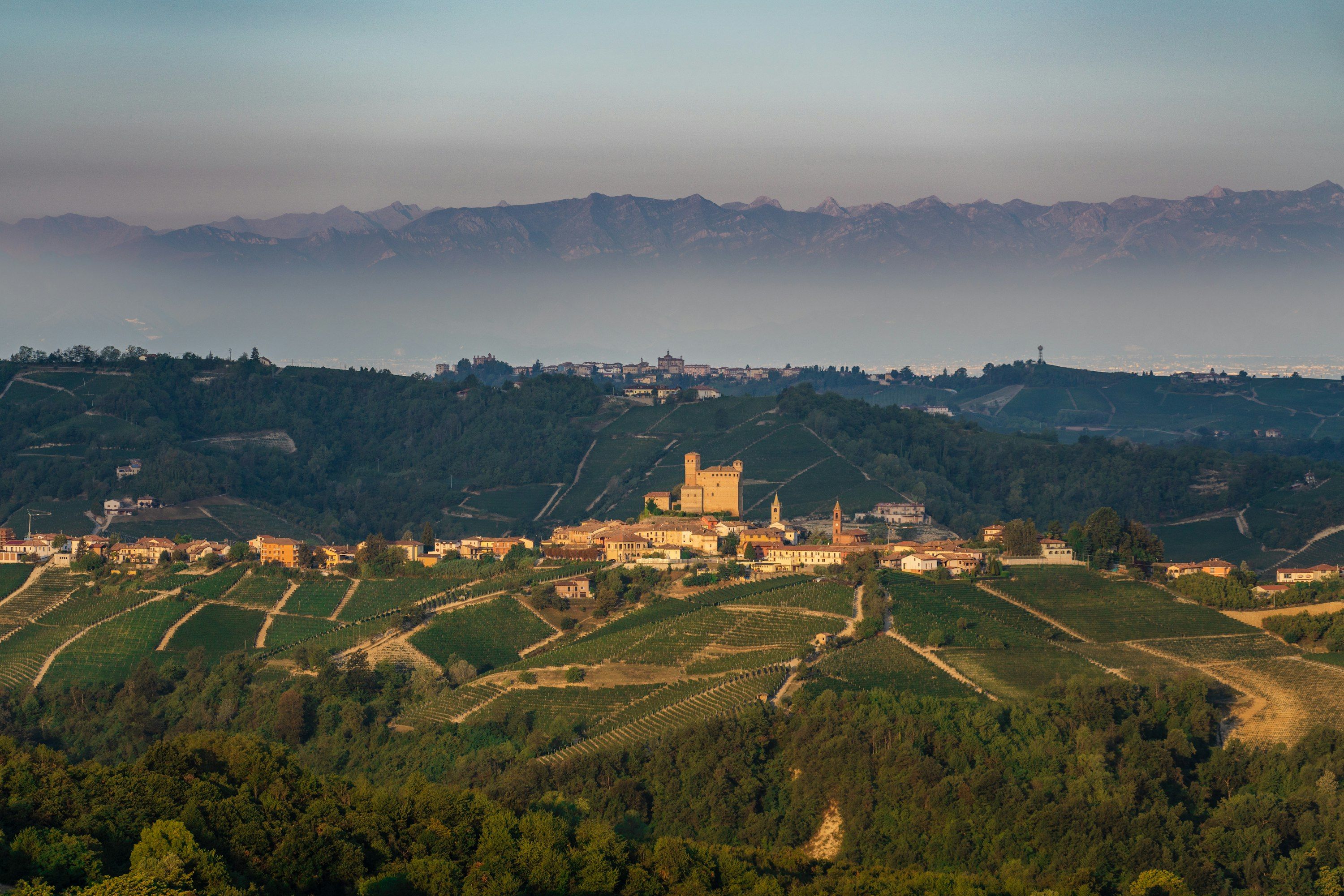 Byn Serralunga d'Alba på en kulle omgiven av vinodlingar i Langhe, Piemonte