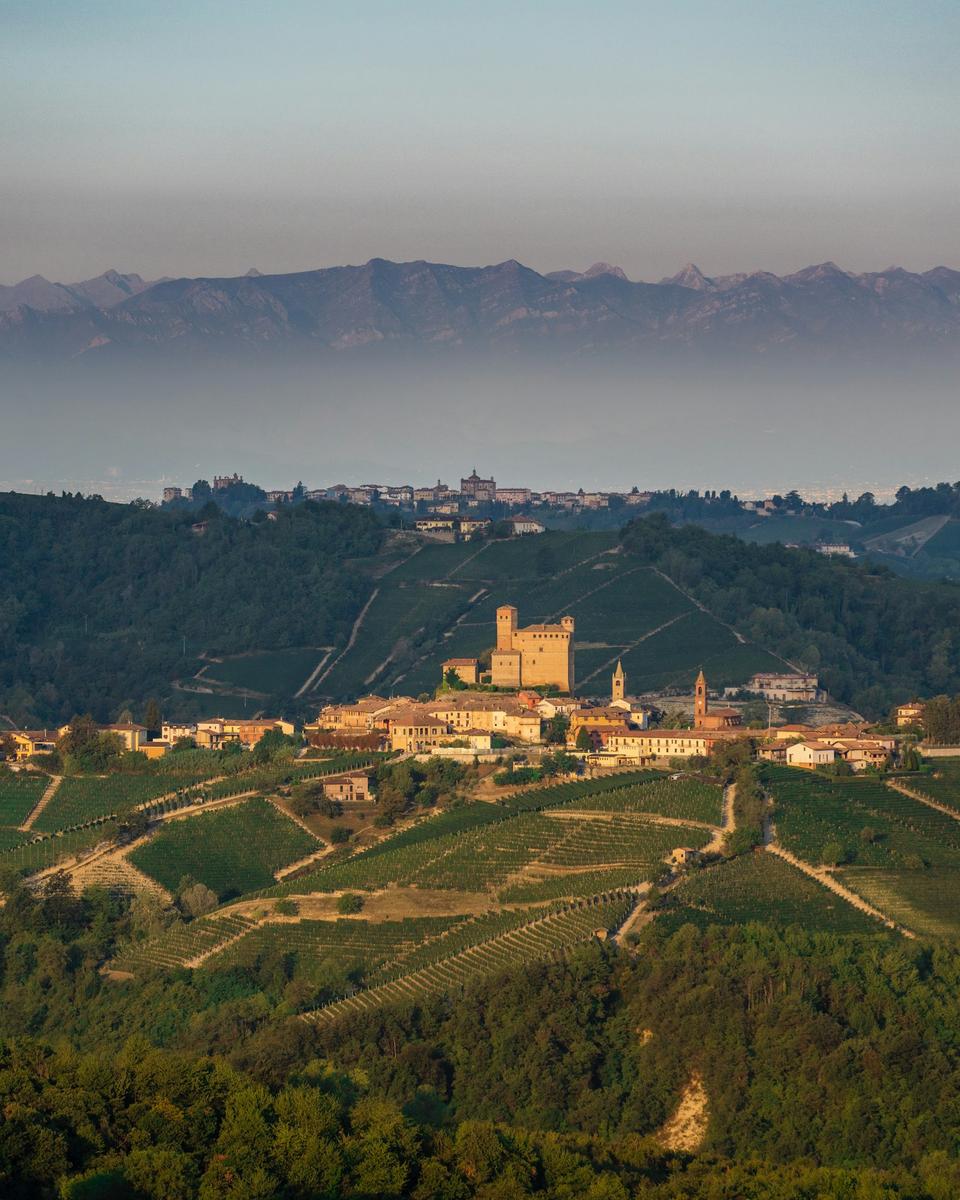 Byn Serralunga d'Alba på en kulle omgiven av vinodlingar i Langhe, Piemonte