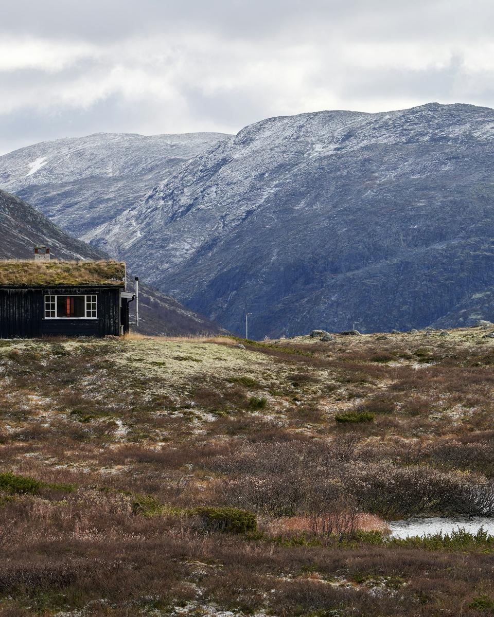Traditionel bjælkehytte på højfjeldet i Hemsedal i Norge