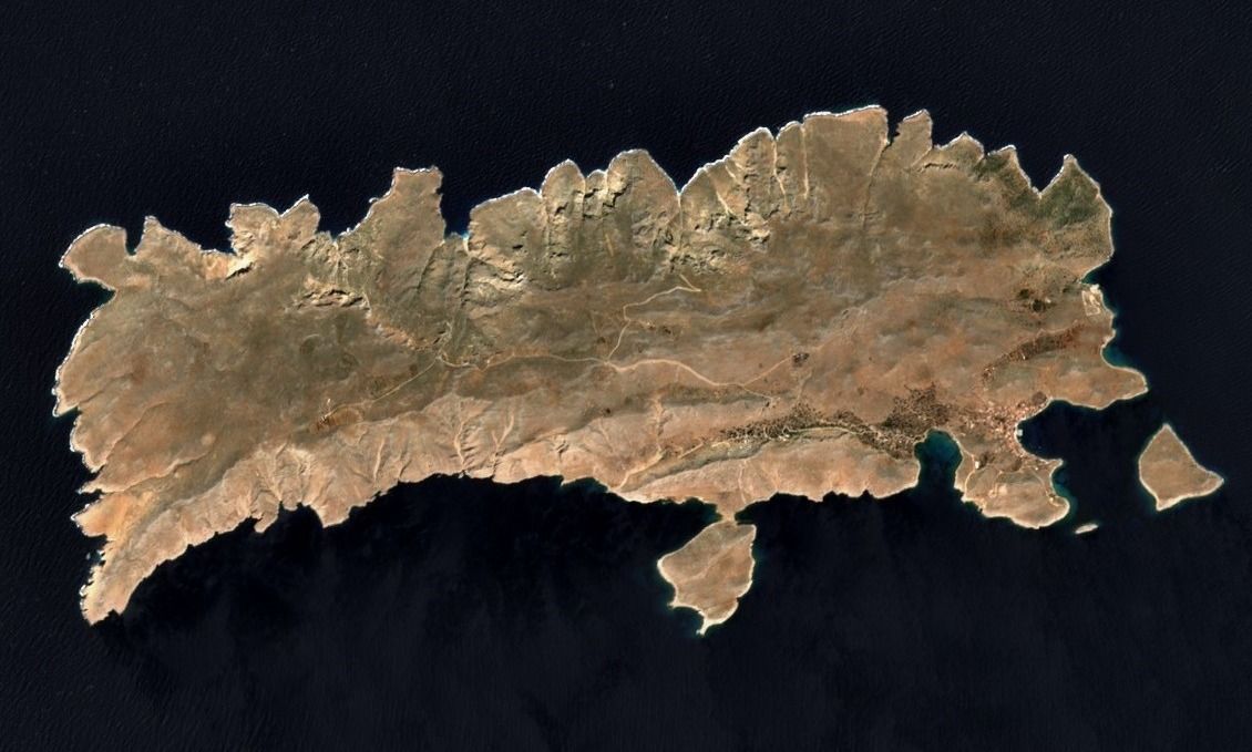 Hydra