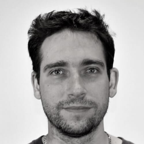 Bence Faludi, Independent Consultant