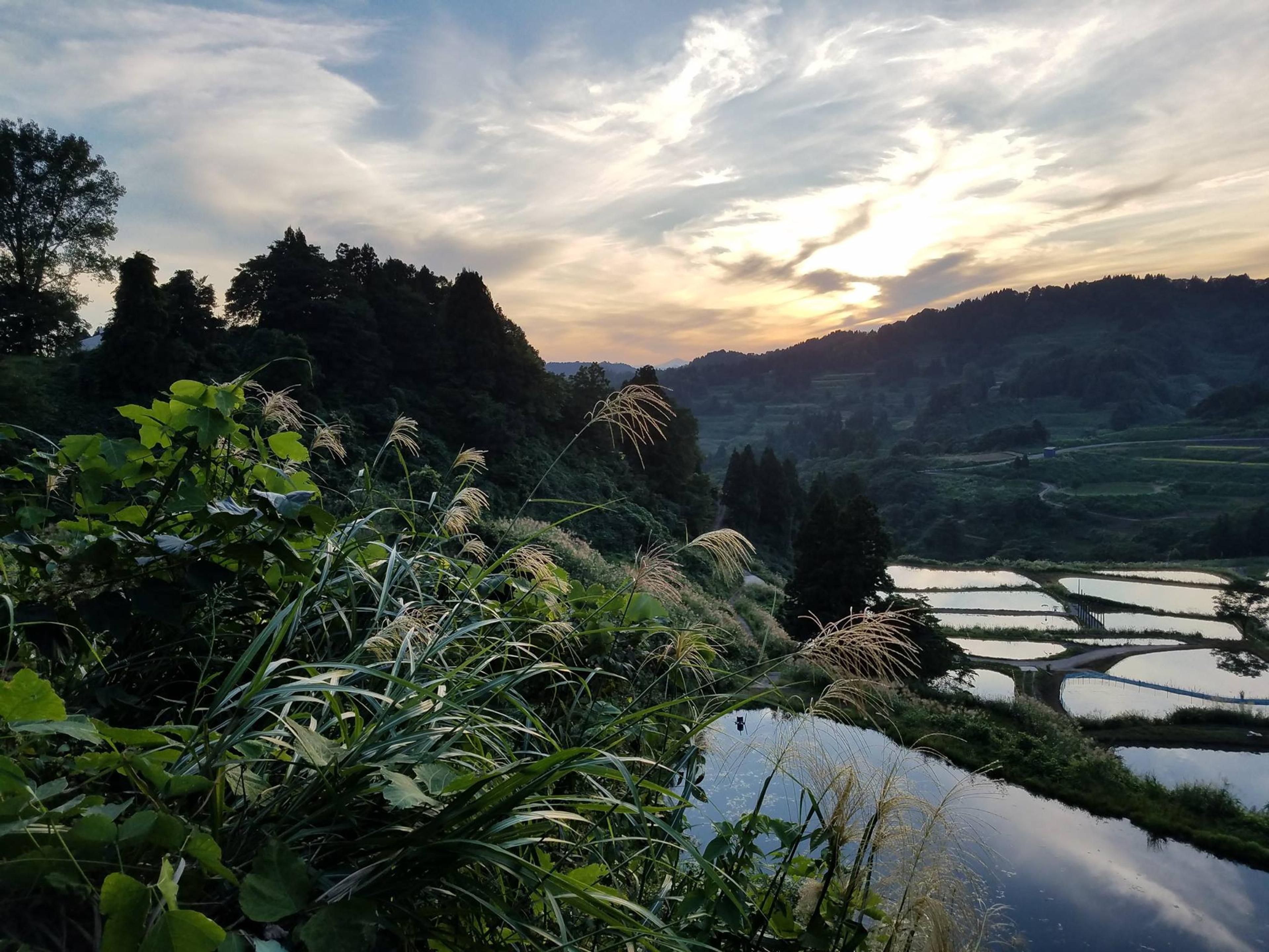 Japanese Village Yamakoshi Uses NFTs for Innovative Community Growth