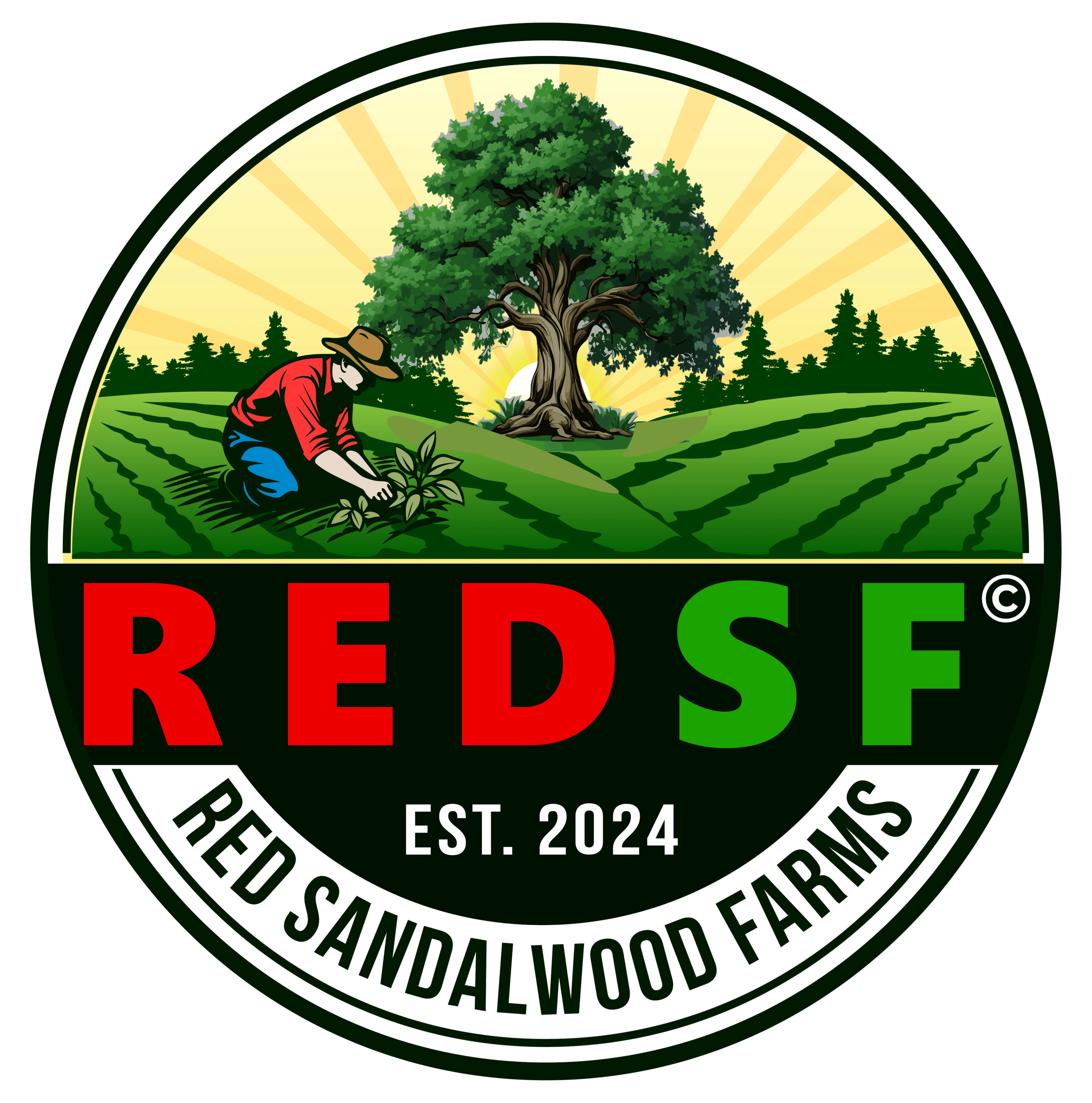 REDSF Launches First-Ever Web3 Gaming Platform Integrating AI with Real-World Asset Rewards