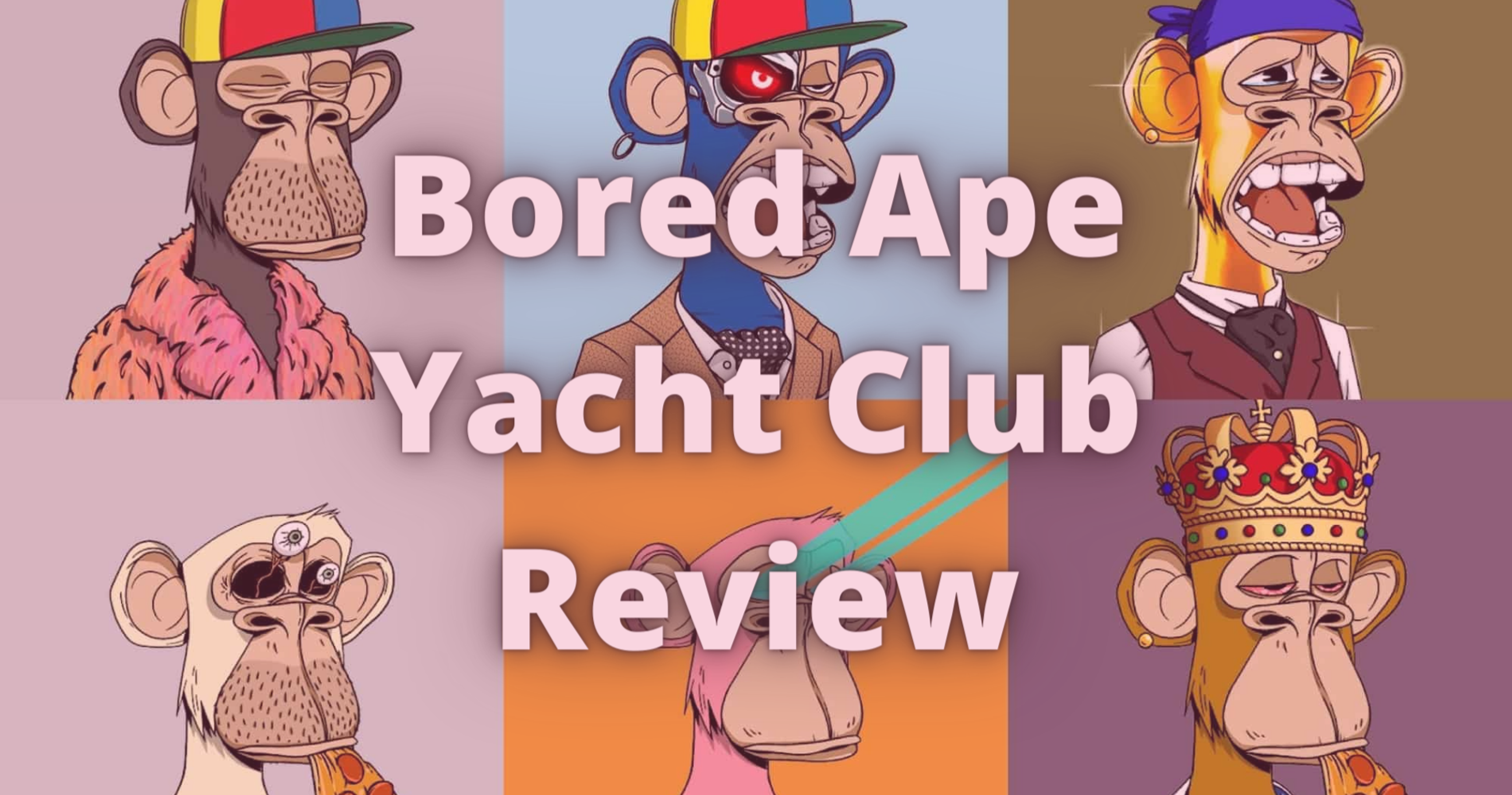 Bored Ape Yacht Club Review | 2023 Guide