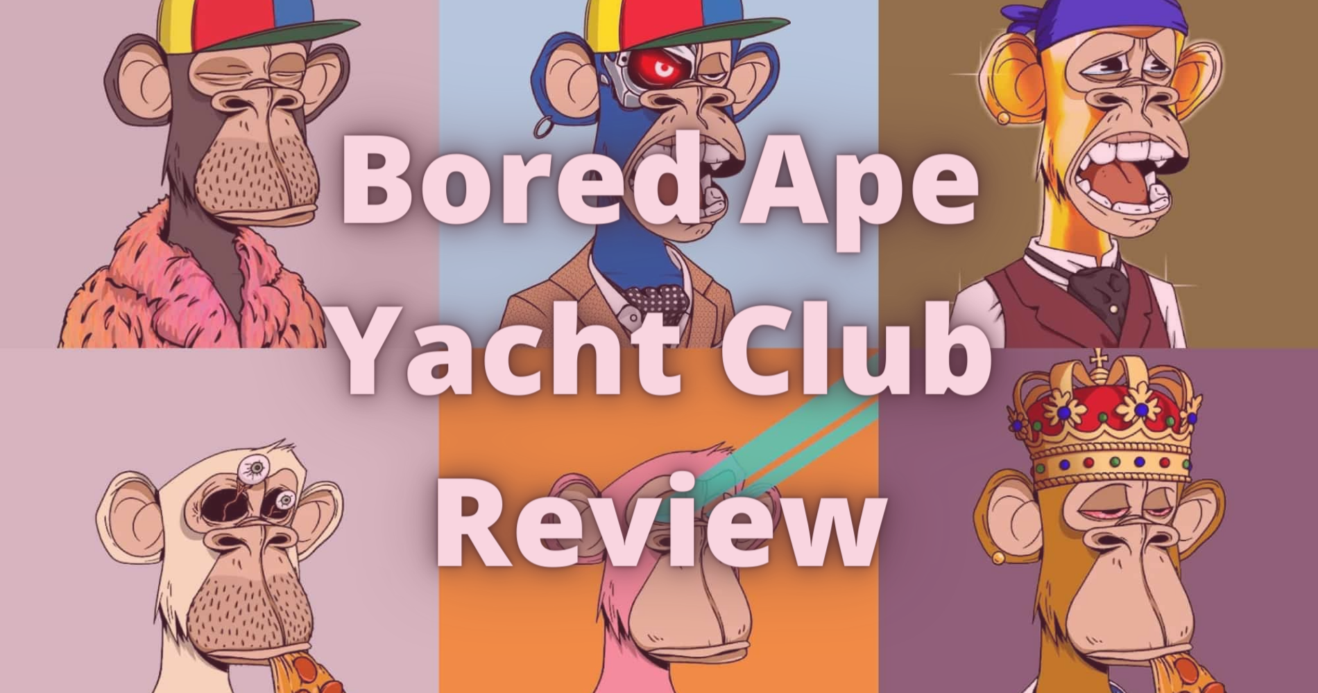 Bored Ape Yacht Club Review | 2023 Guide
