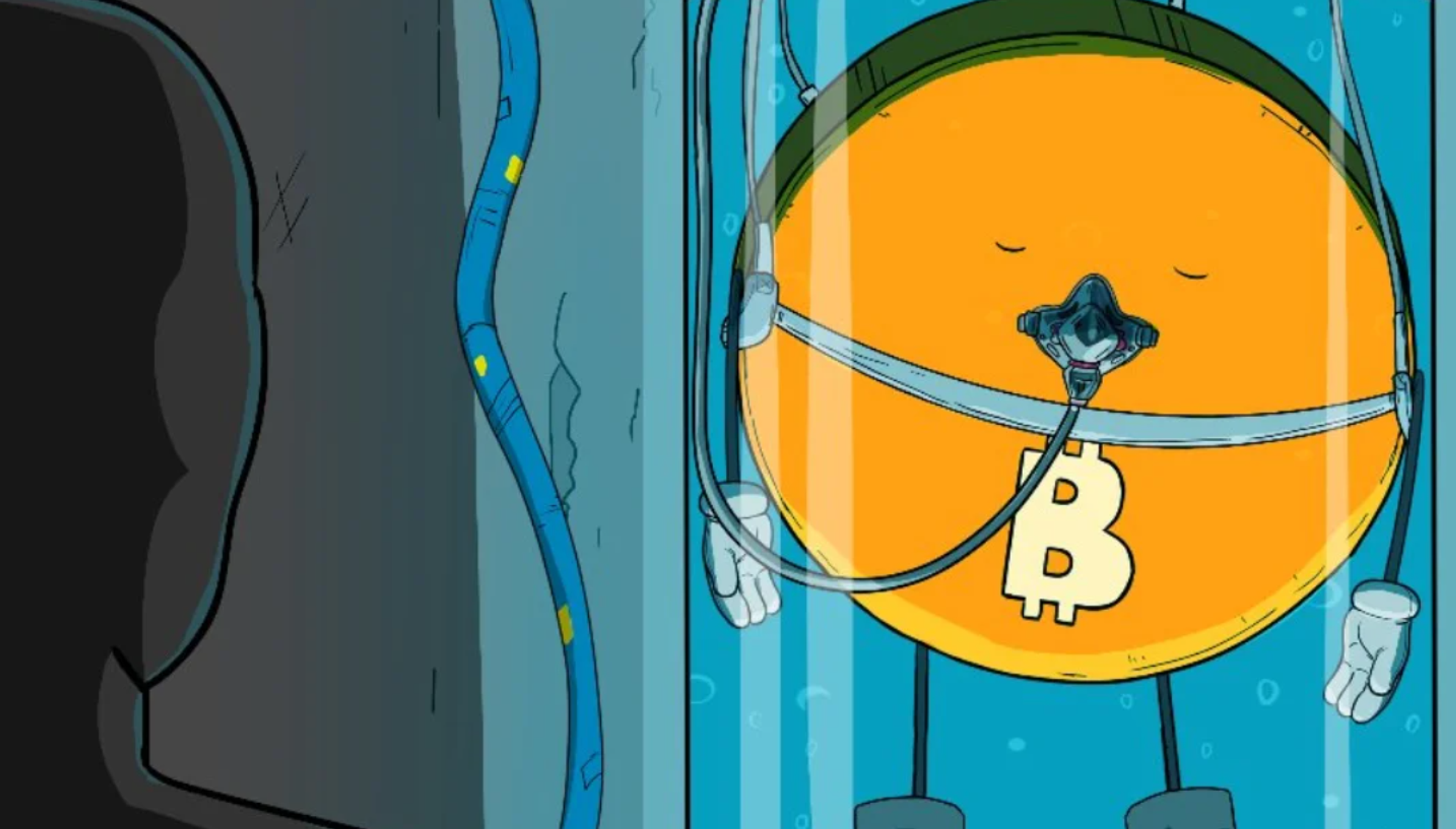 bitcoin and friends