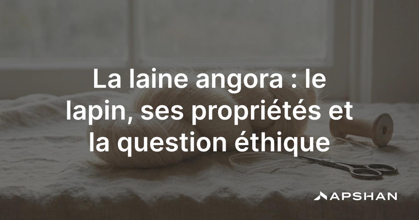 Laine angora : le duvet du lapin angora, fibre fine et légère au halo duveteux