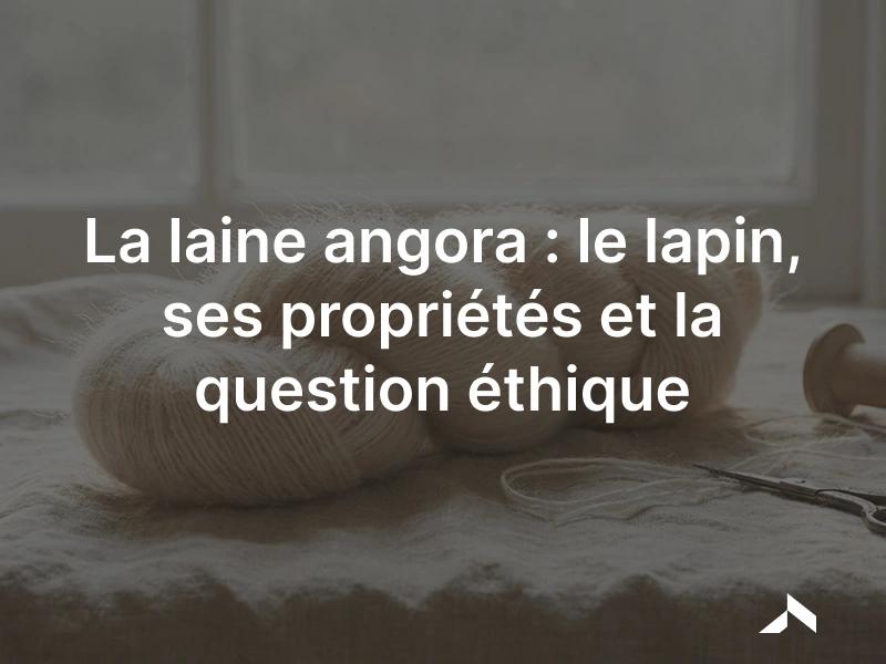 Laine angora : le duvet du lapin angora, fibre fine et légère au halo duveteux