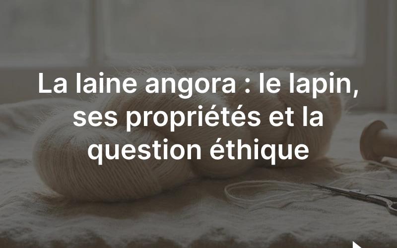 Laine angora : le duvet du lapin angora, fibre fine et légère au halo duveteux