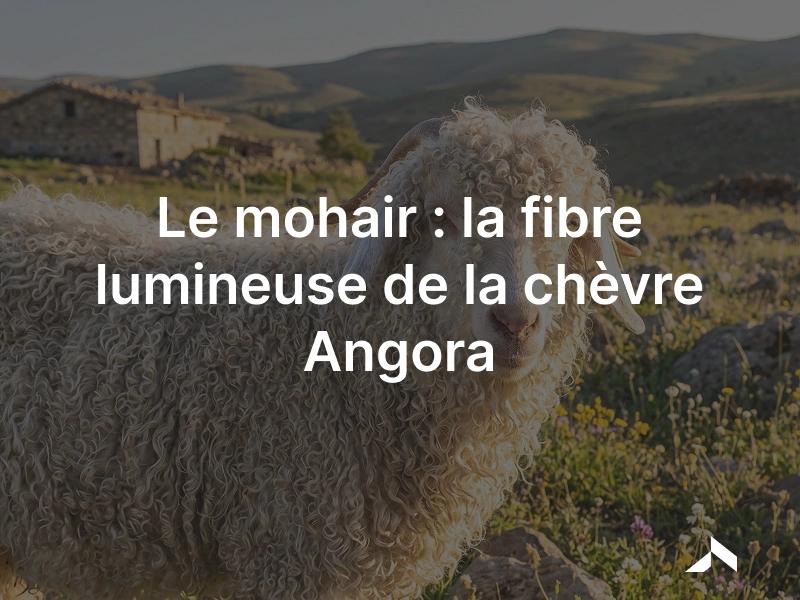 Le mohair: la fibre brillante et légère issue de la toison de la chèvre Angora.