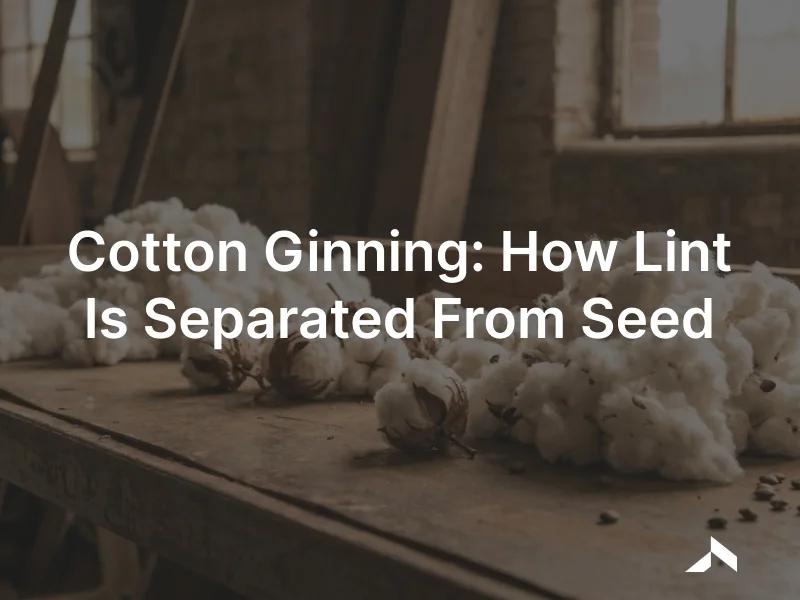 Raw cotton bolls and clean white cotton lint beside a cotton seed on an industrial gin work surface