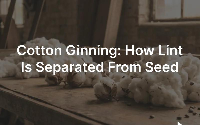 Raw cotton bolls and clean white cotton lint beside a cotton seed on an industrial gin work surface