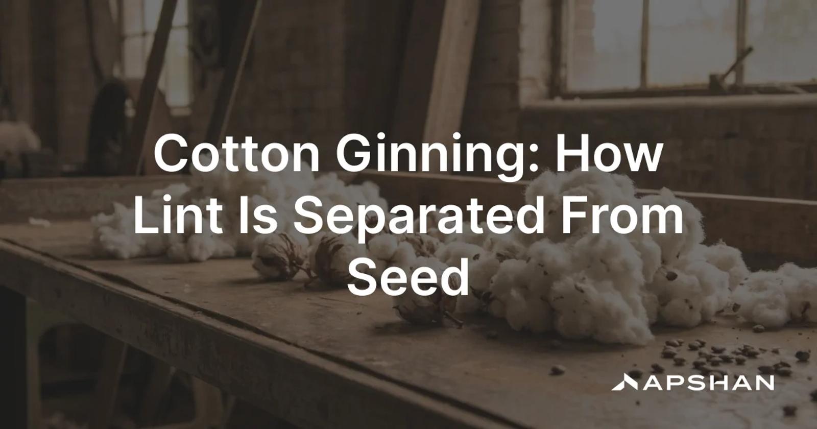 Raw cotton bolls and clean white cotton lint beside a cotton seed on an industrial gin work surface