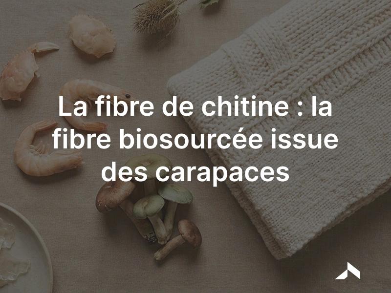 Fibre de chitine : matière textile biosourcée issue des carapaces de crustacés et des champignons
