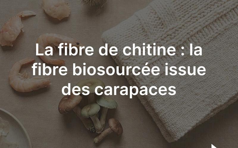 Fibre de chitine : matière textile biosourcée issue des carapaces de crustacés et des champignons
