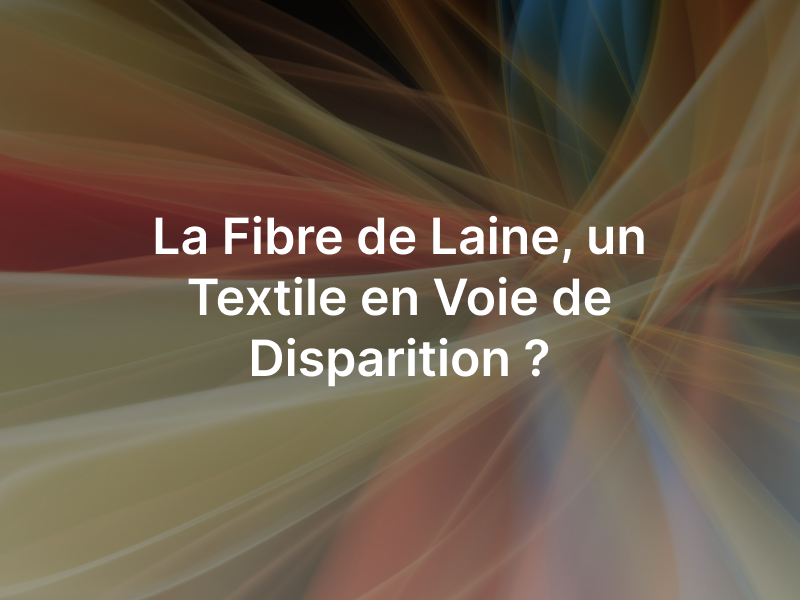 Fibre de laine