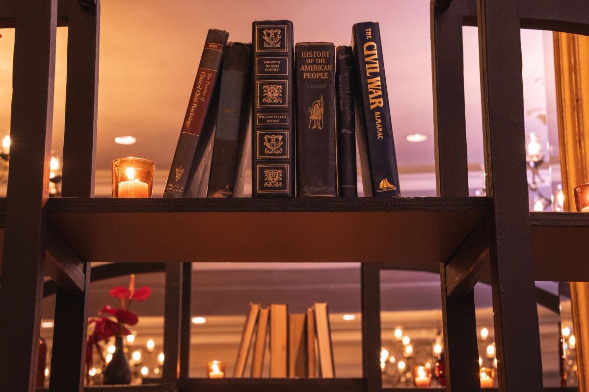 Books arranged on wooden shelves with warm lighting and bokeh lights in background