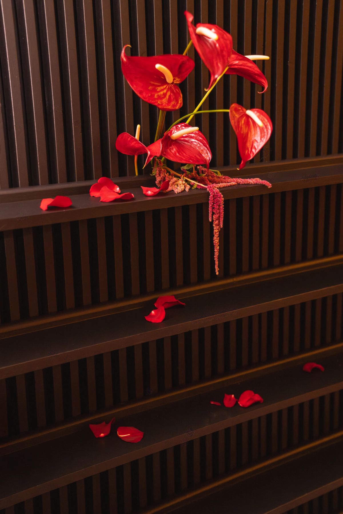 Red anthurium flowers arranged on wooden slatted shelving with scattered red petals