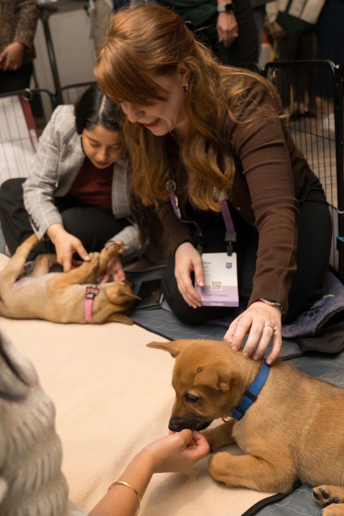 Attendees petting brown puppies on a blanket at a conference event.