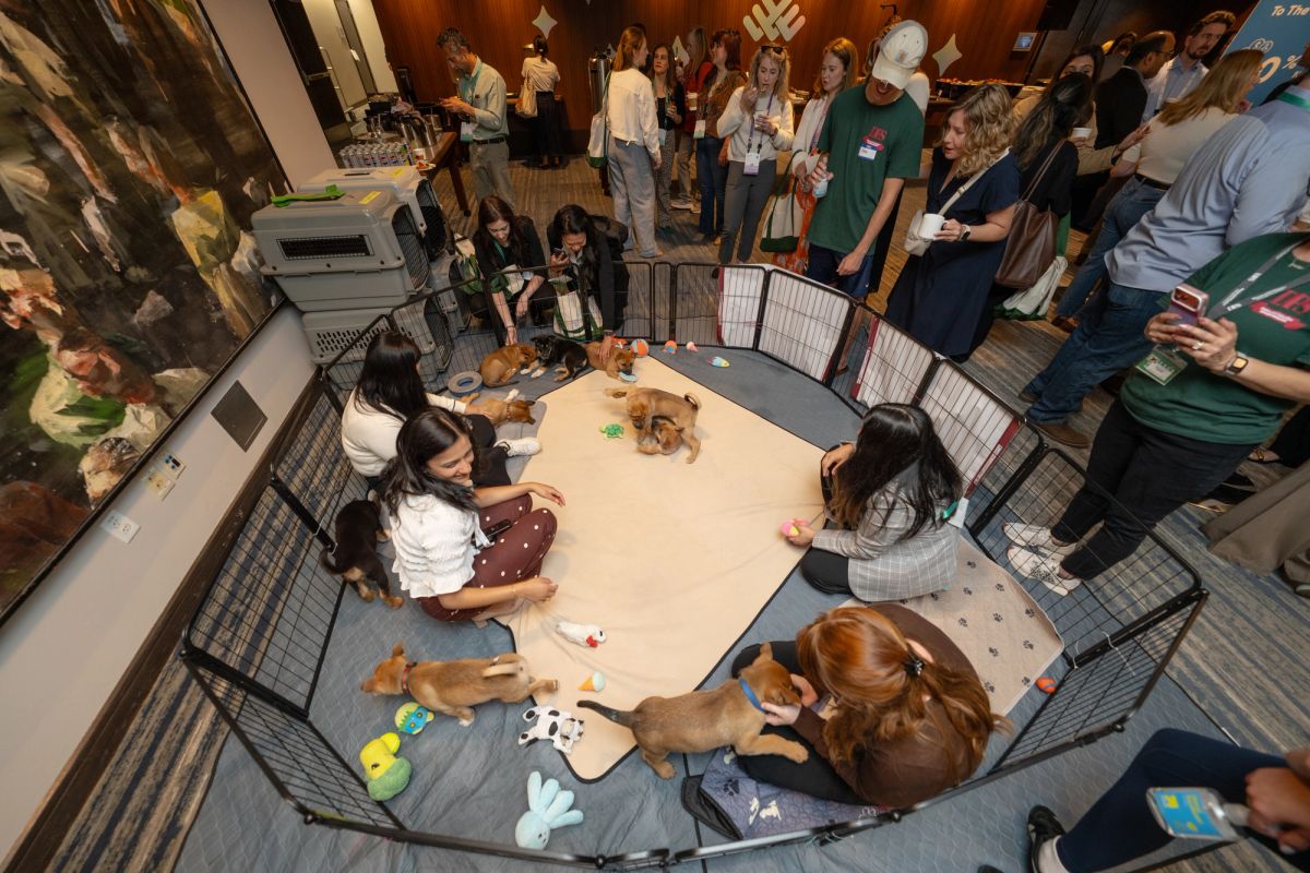 Attendees interact with puppies in a fenced play area at a conference networking event.