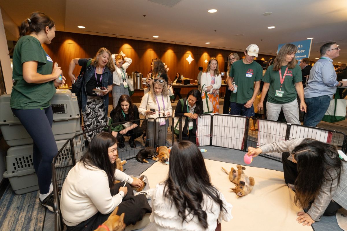 Attendees sitting on floor playing with puppies in a penned area at a conference.