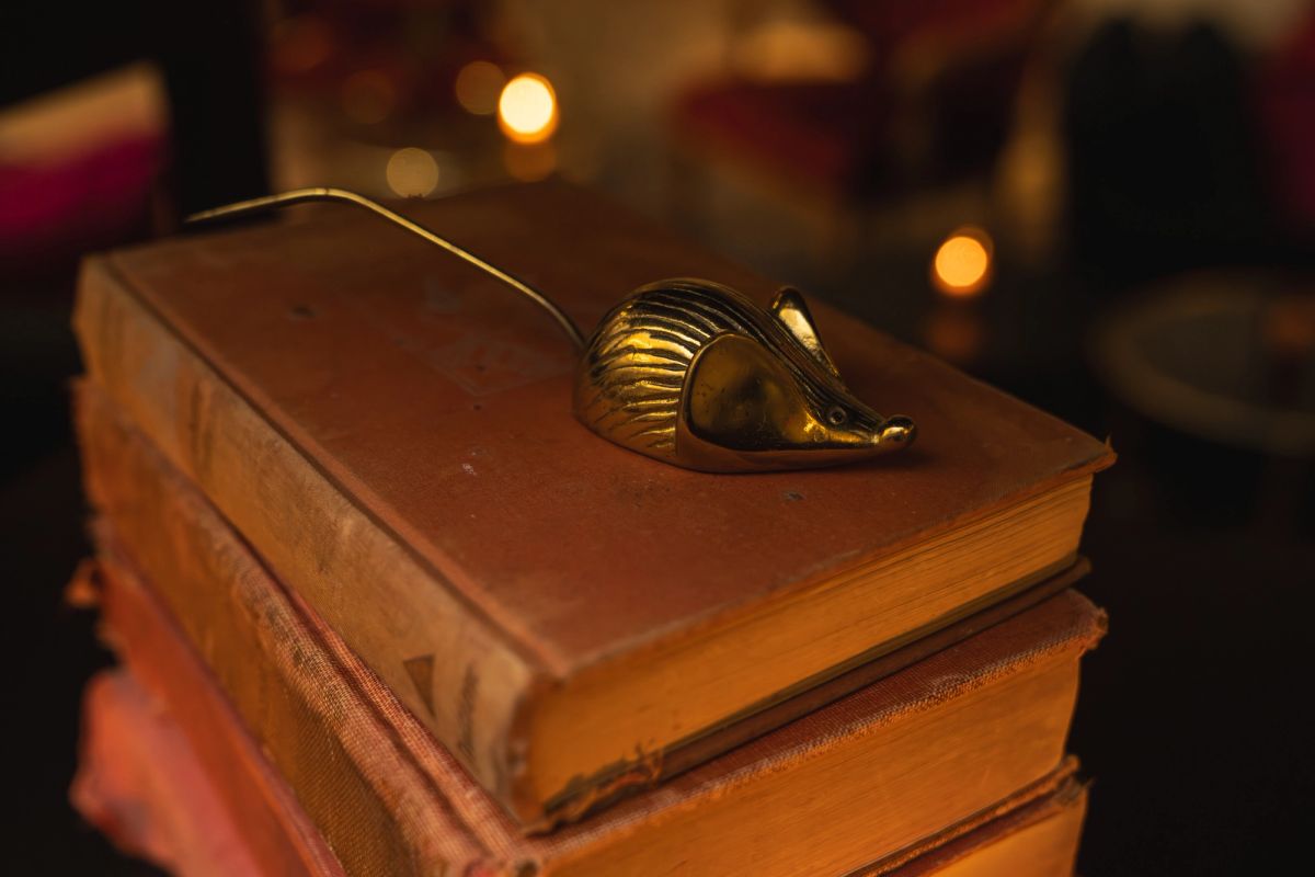A decorative shell ornament sits on top of stacked books in warm, ambient lighting with blurred lights in.