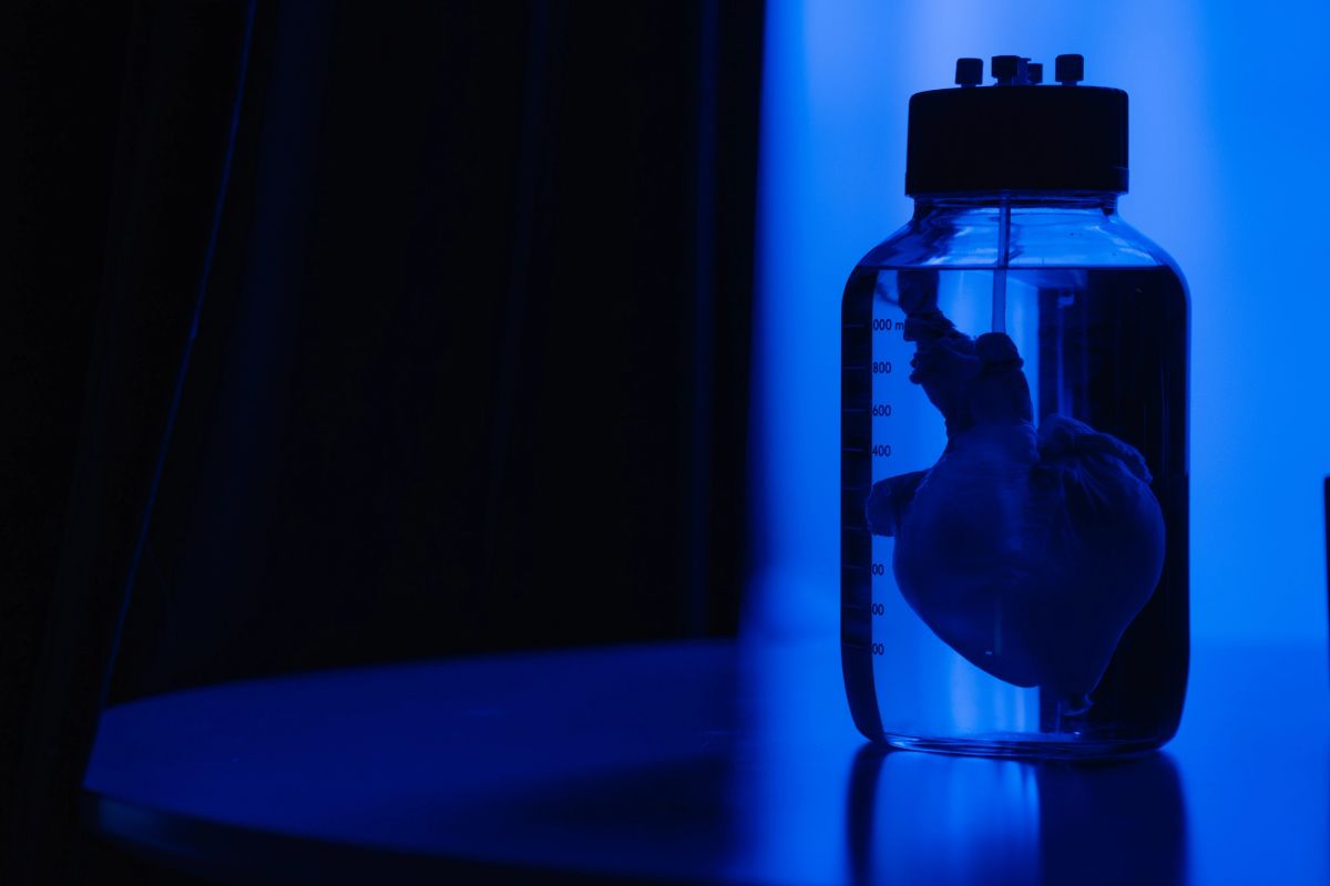 Glass jar with preserved organ specimen on table under blue stage lighting