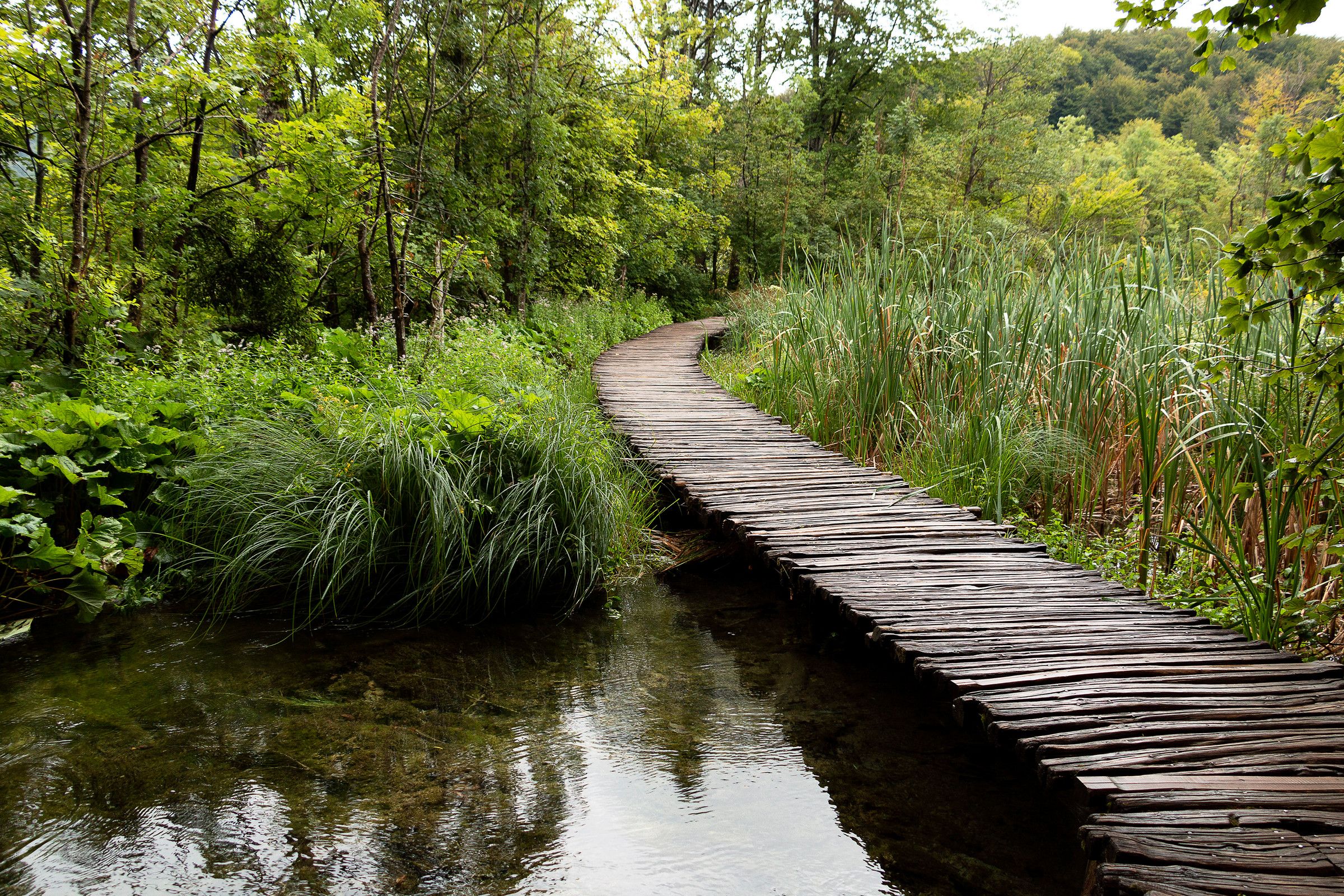 Path