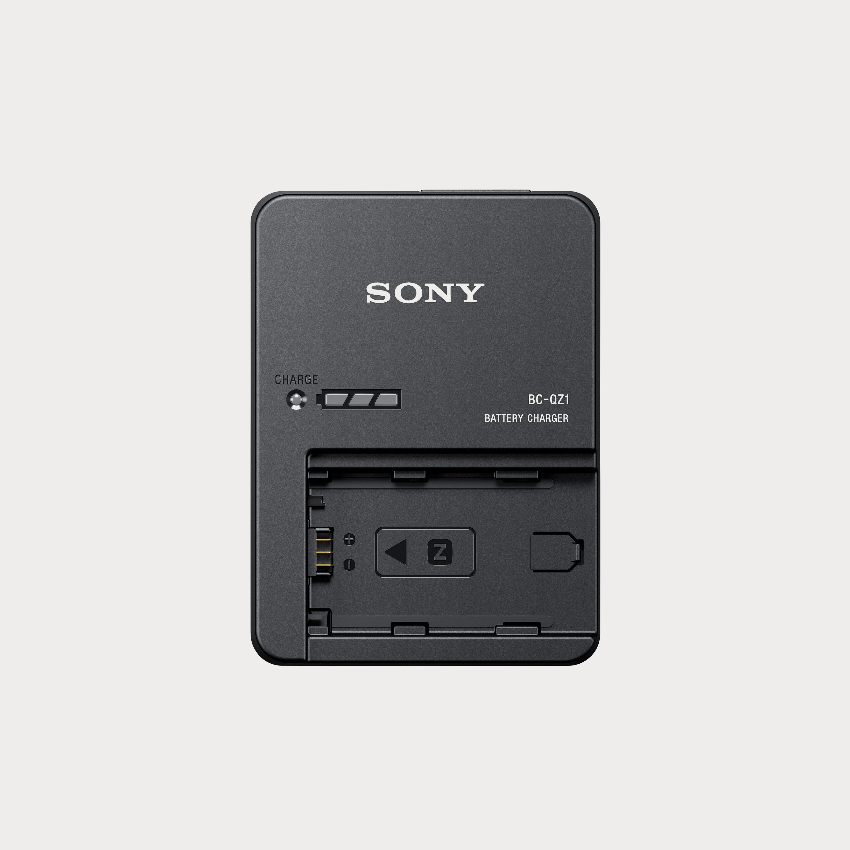 Sony Battery Charger for NP-FZ100 | Moment