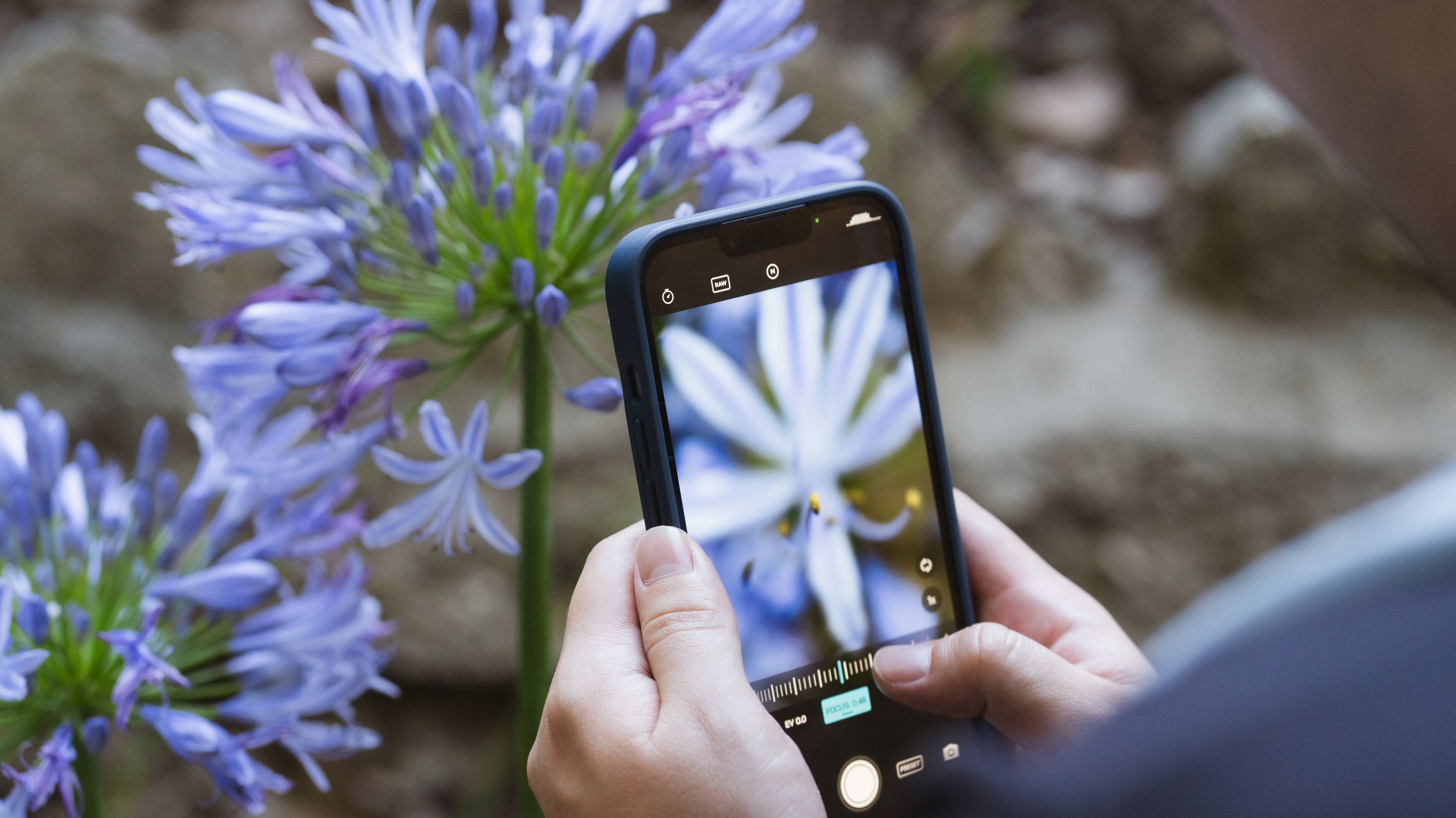 Up Close and Personal With the Moment Macro Lens Moment