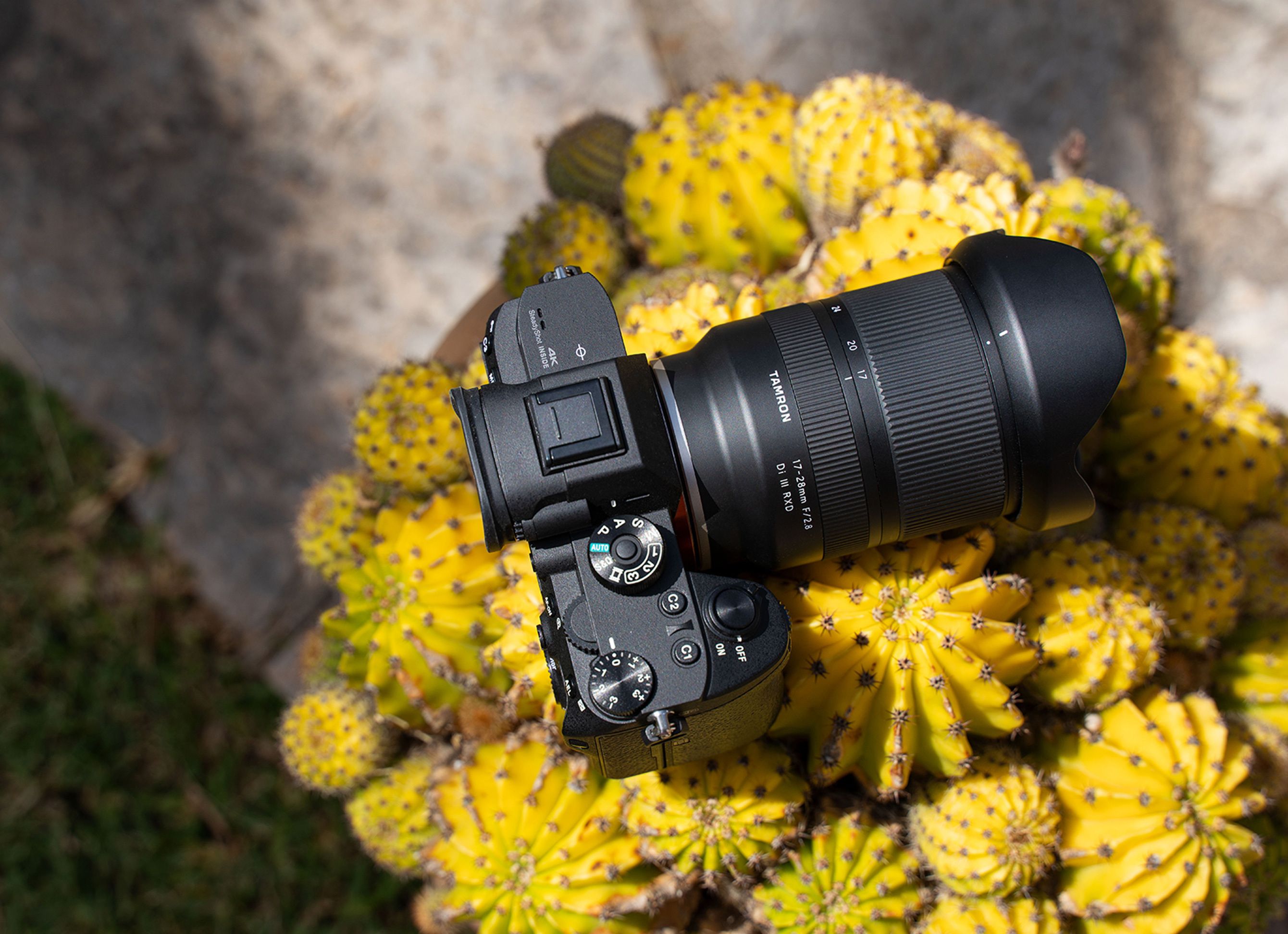 Tamron 17-28mm F/2.8 Di III RXD Lens - Sony E-Mount | Moment 