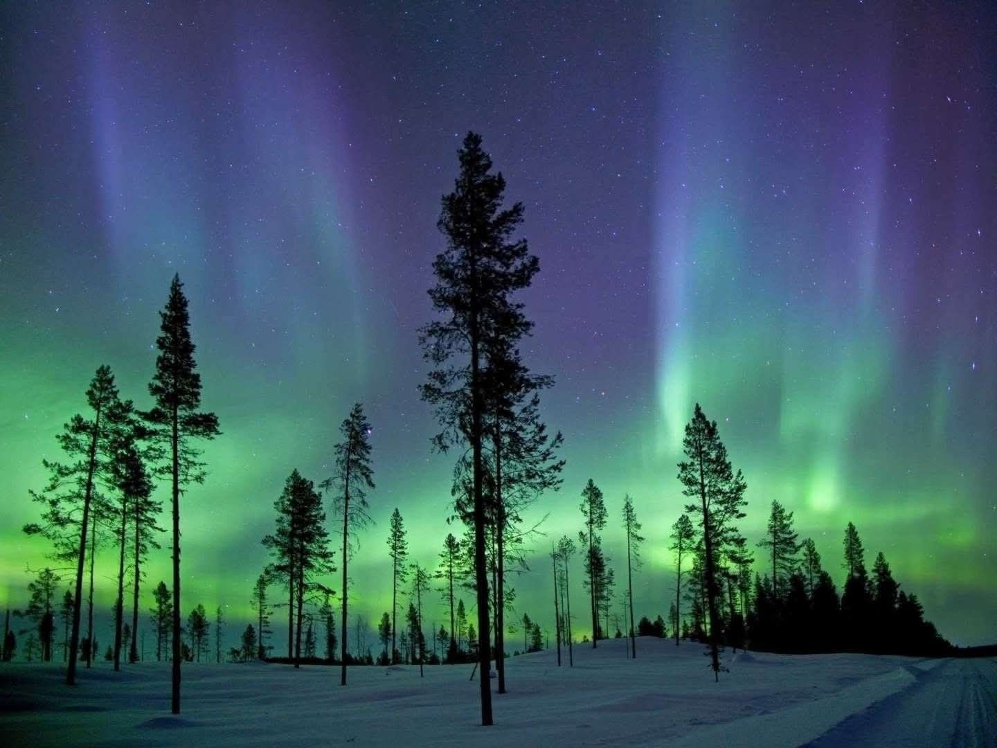 Lapland Experience — photo 3