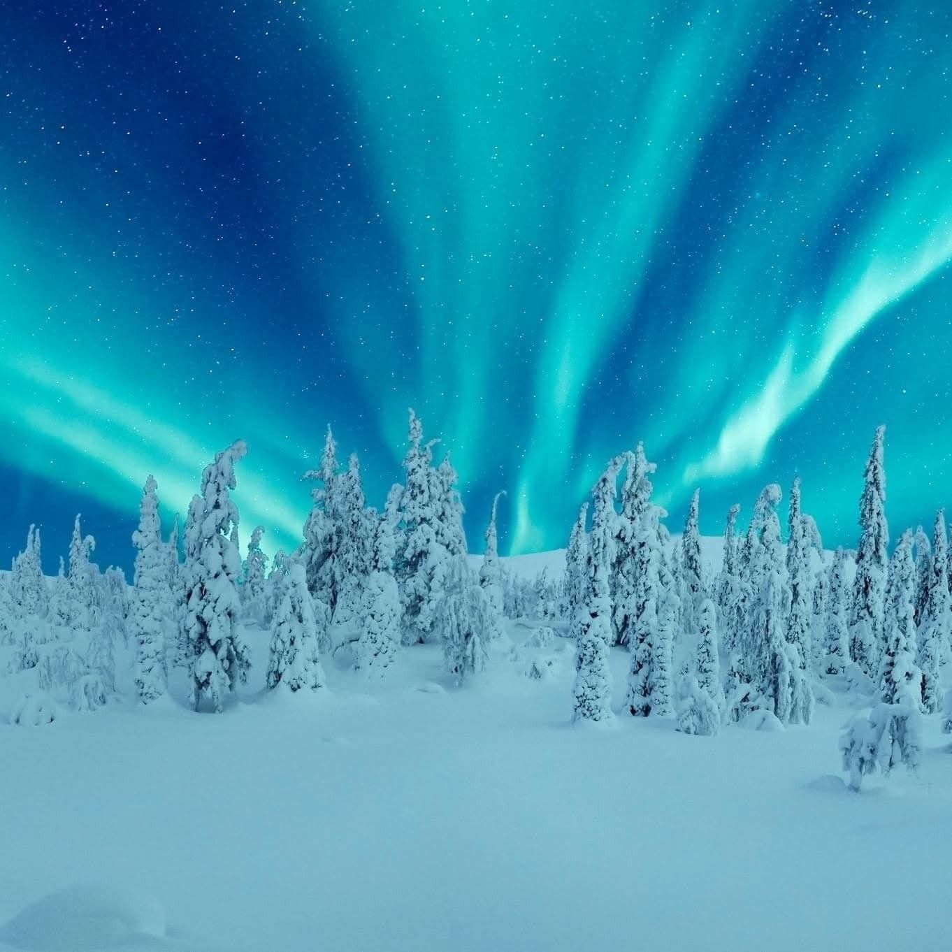 Lapland Experience — photo 1