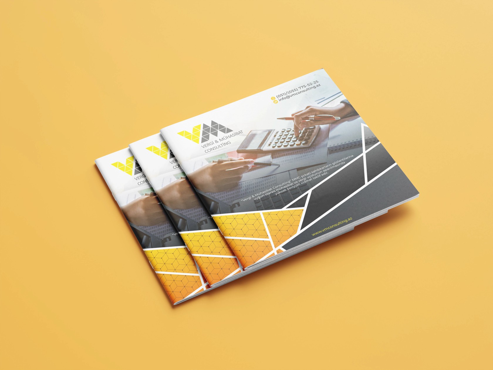 WM Consulting — 1 of 5