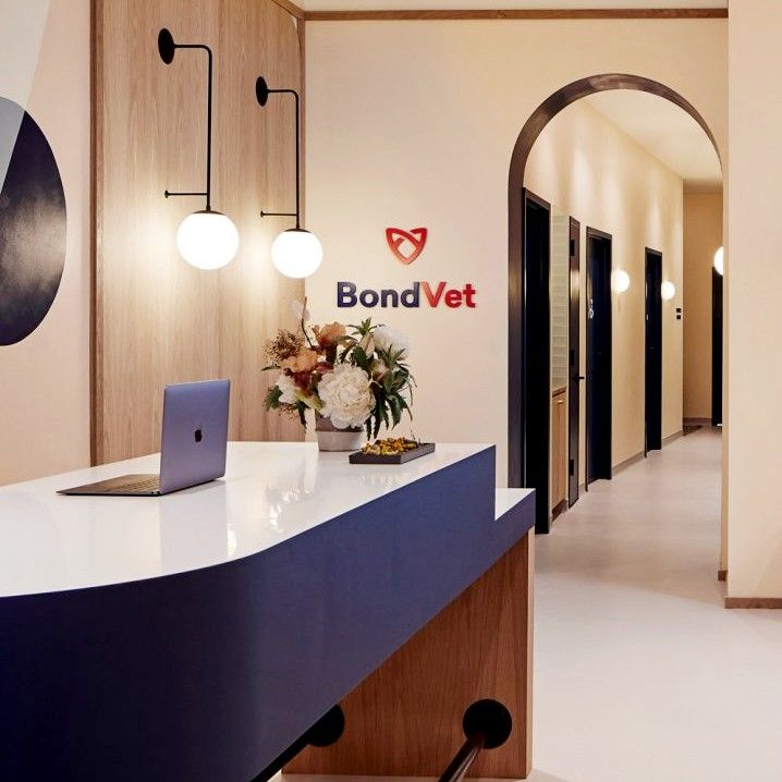 salle d'attente-clinique vétérinaire-medd-agencement-2021-1