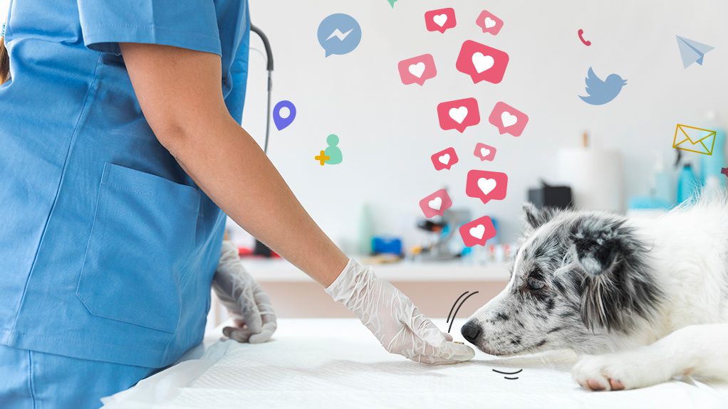 Marketing strategies for Veterinarians
