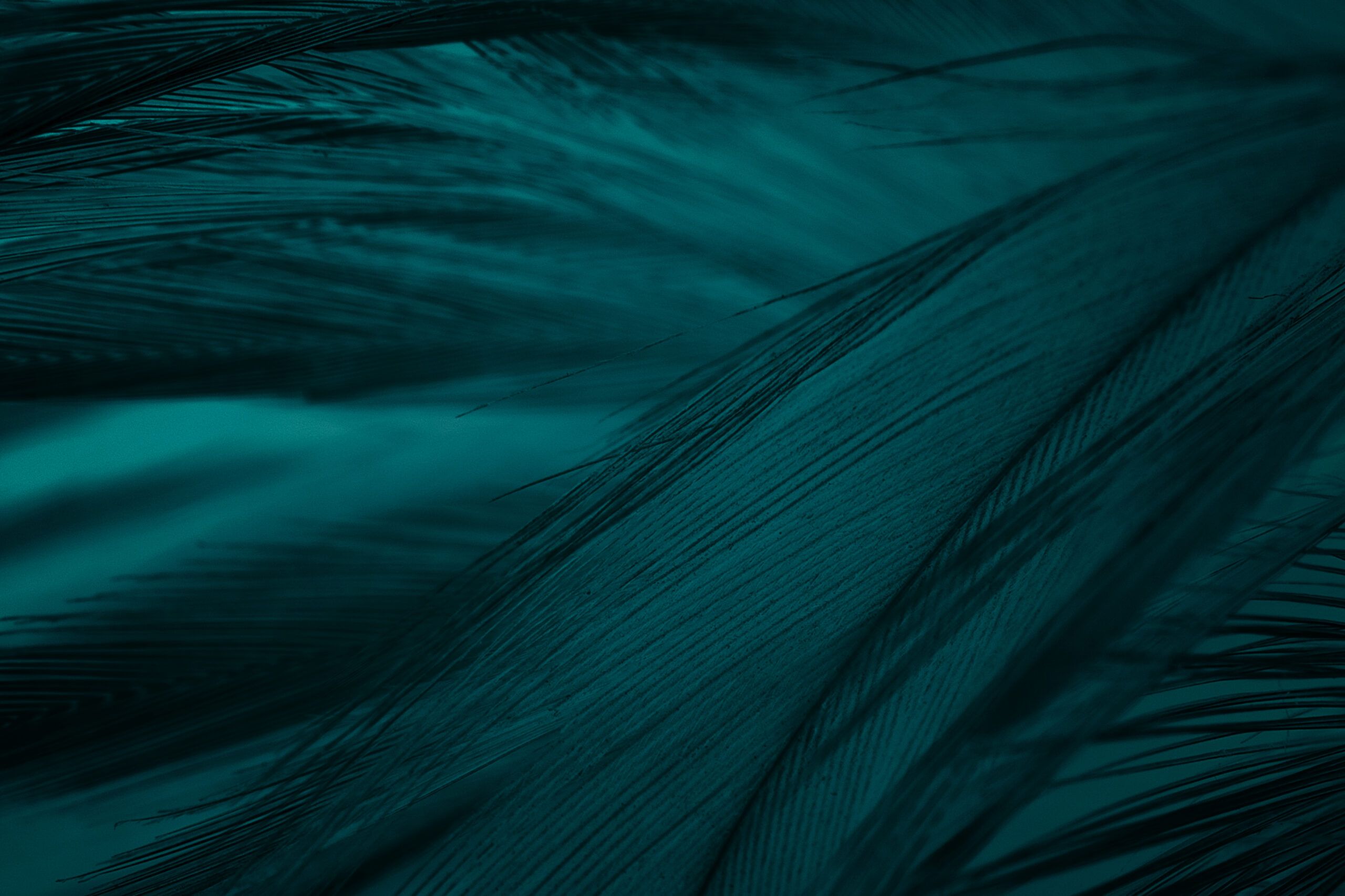 Why we believe Pantone is swimming against the current and why Green will be the colour of 2026