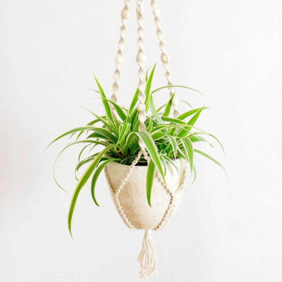 ESPAÇO-NATURA-MEDD-DESIGN-2021-4