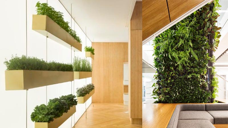 Jardin vertical pour cliniques : découvrez tout !