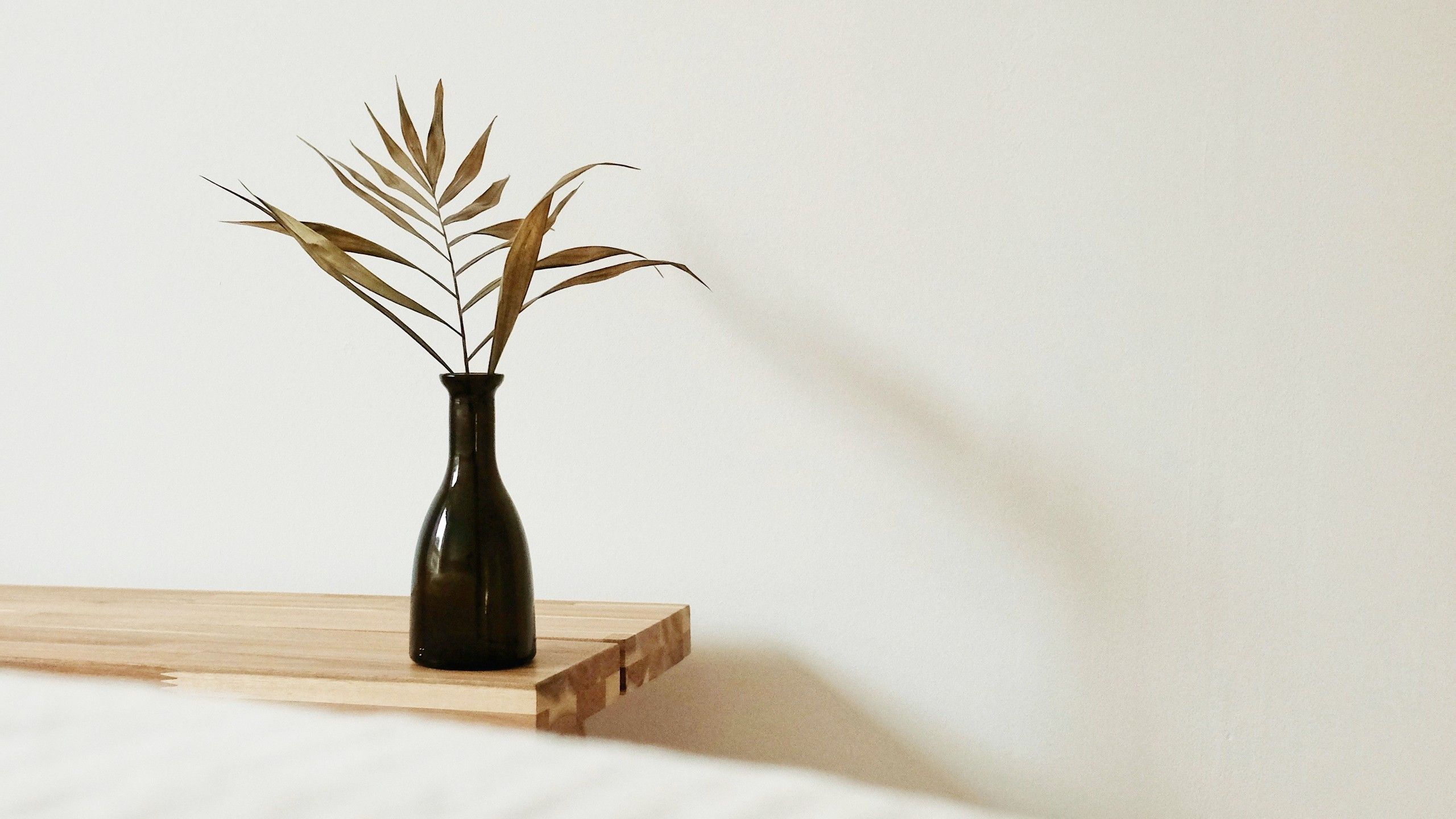 How to organize your pharmacy to achieve good Feng Shui?