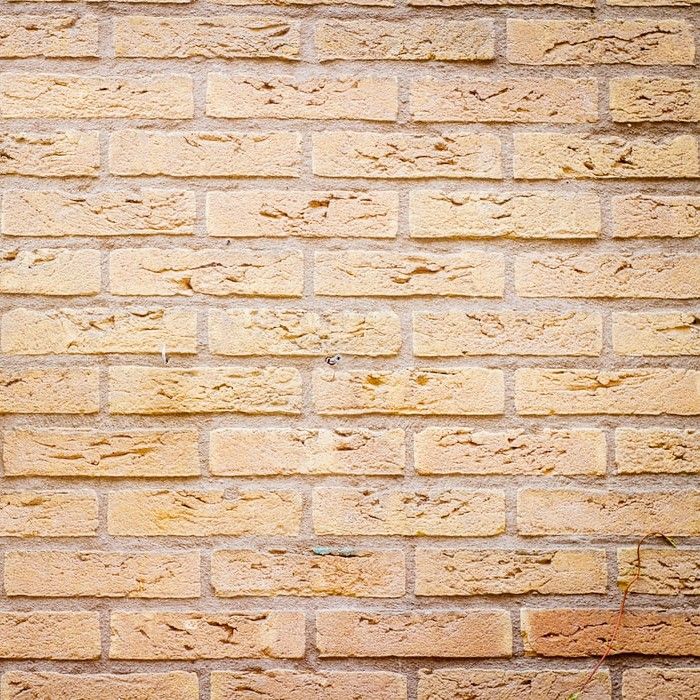 Murs texturés-medd-agencement-2021-4