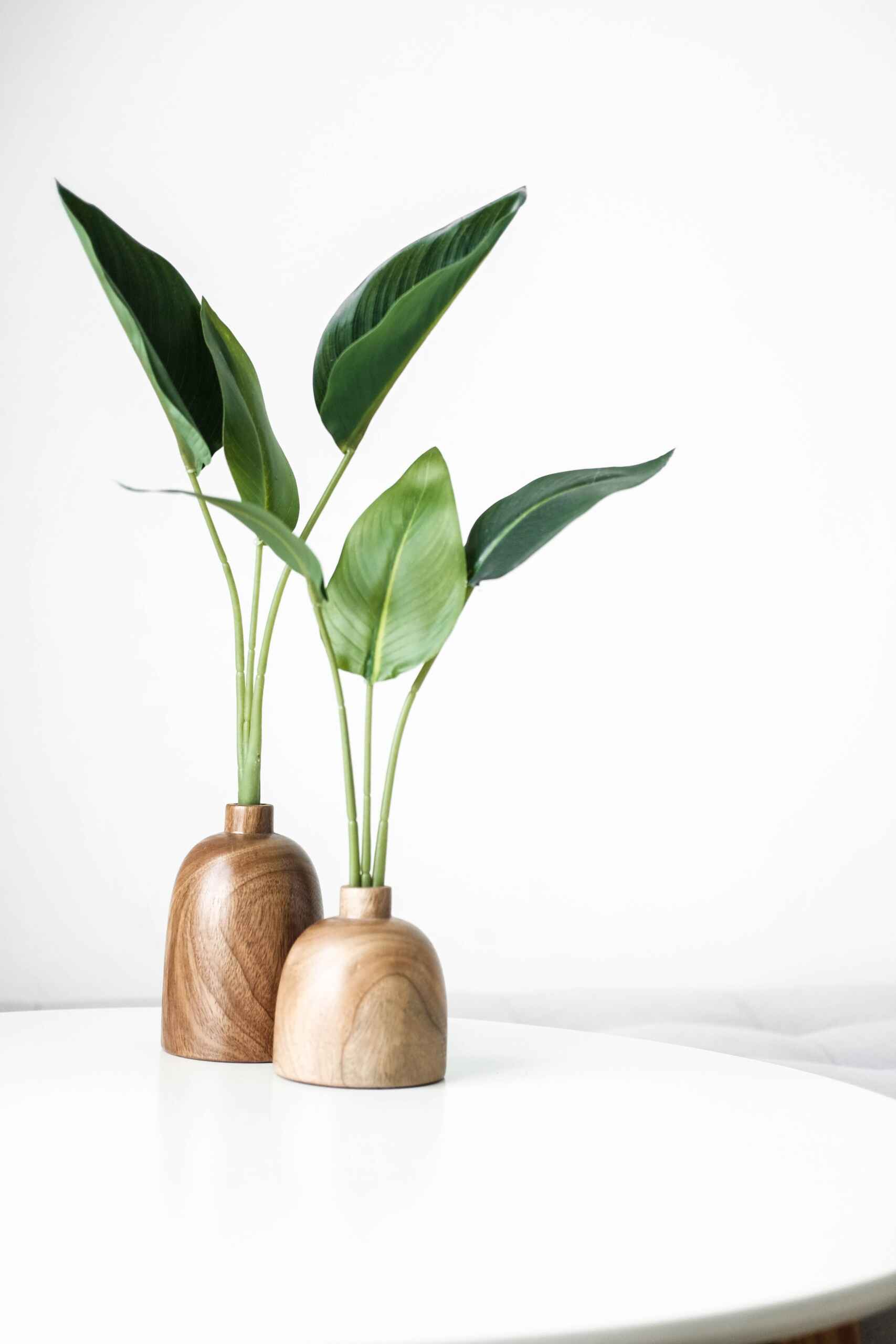 novas-tendencias-medd-design-news-materials.7393