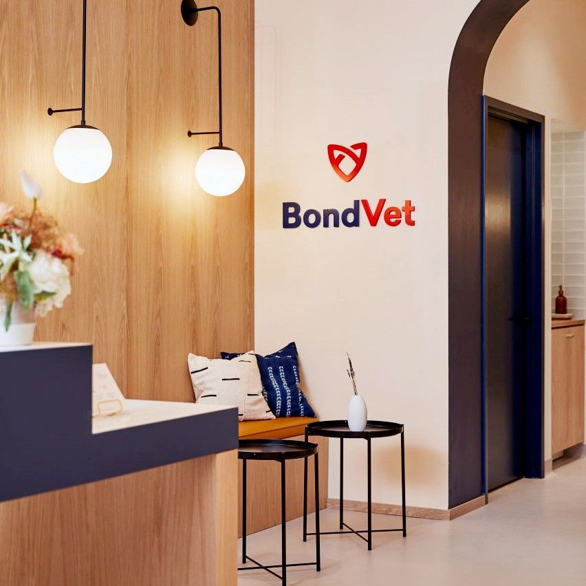 salle d'attente-clinique vétérinaire-medd-agencement-2021-2