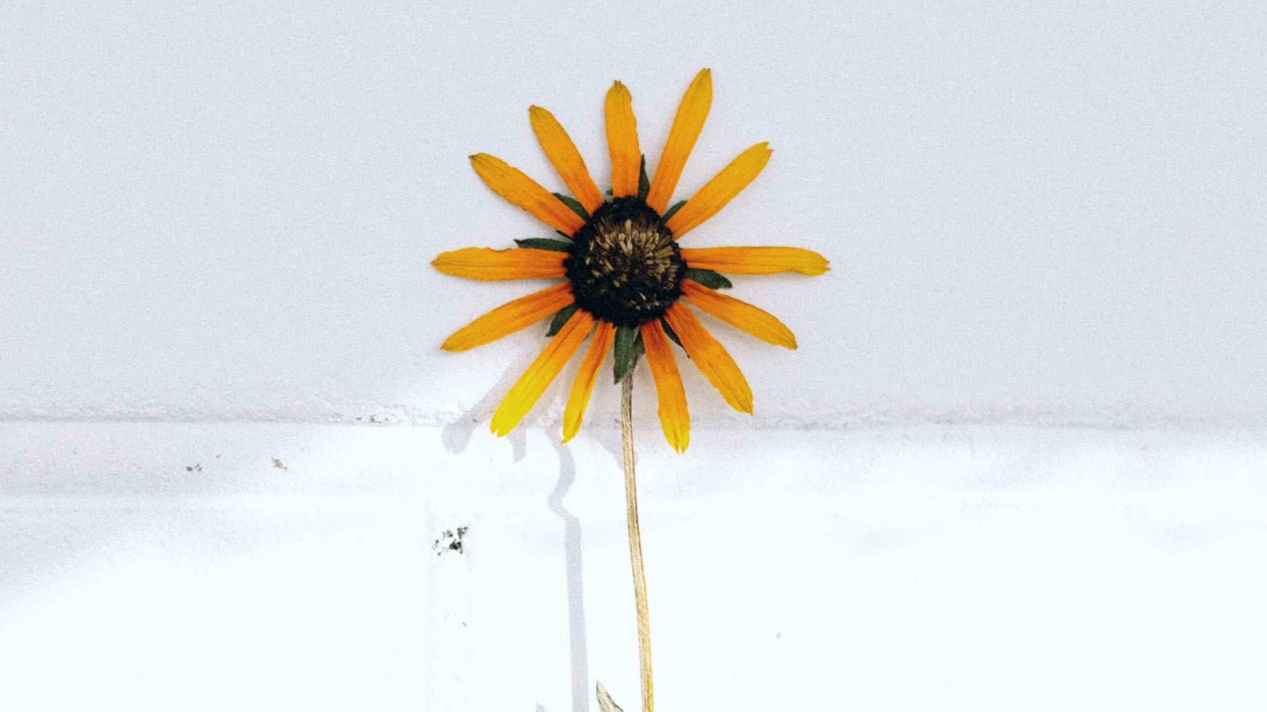 Le design durable: 4 tendances pour votre pharmacie