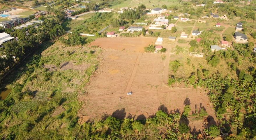 Arena