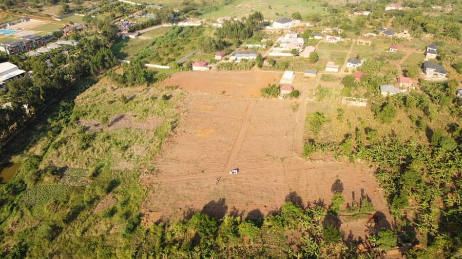 Arena