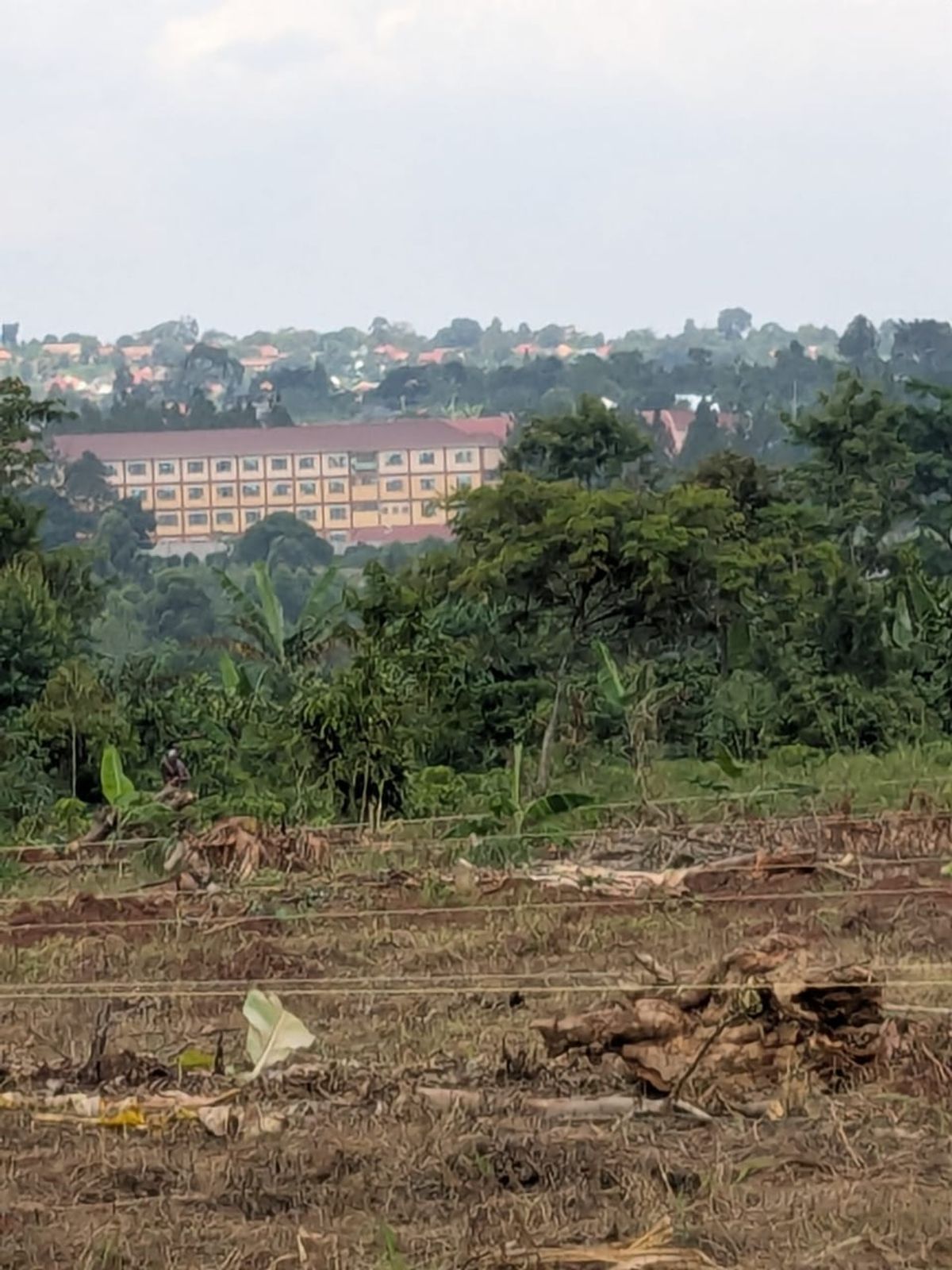 Lusansa Nalubabwe, Phase 1