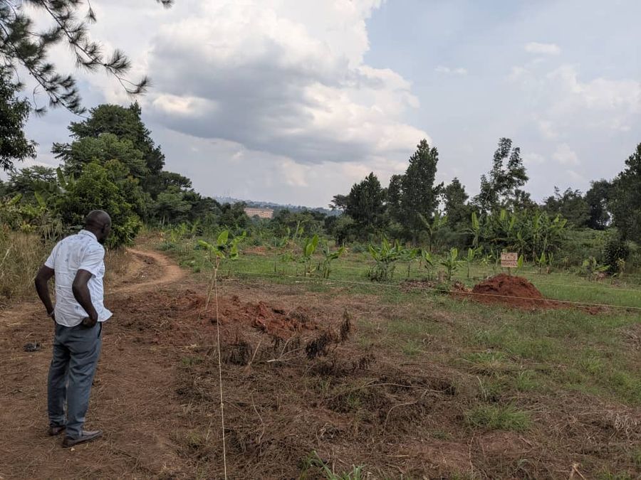 vision for Africa view
