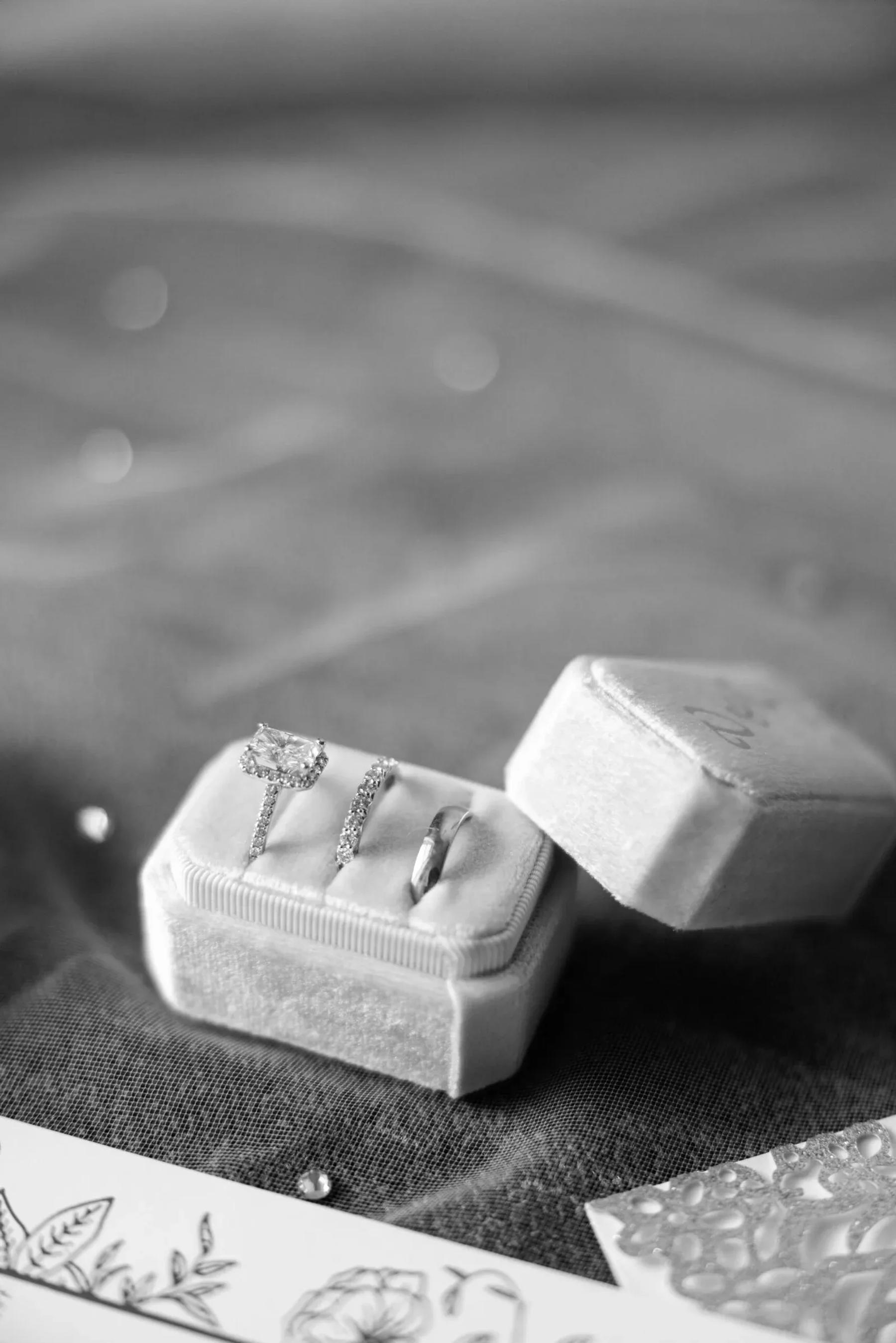 Victoria & CJ image 7