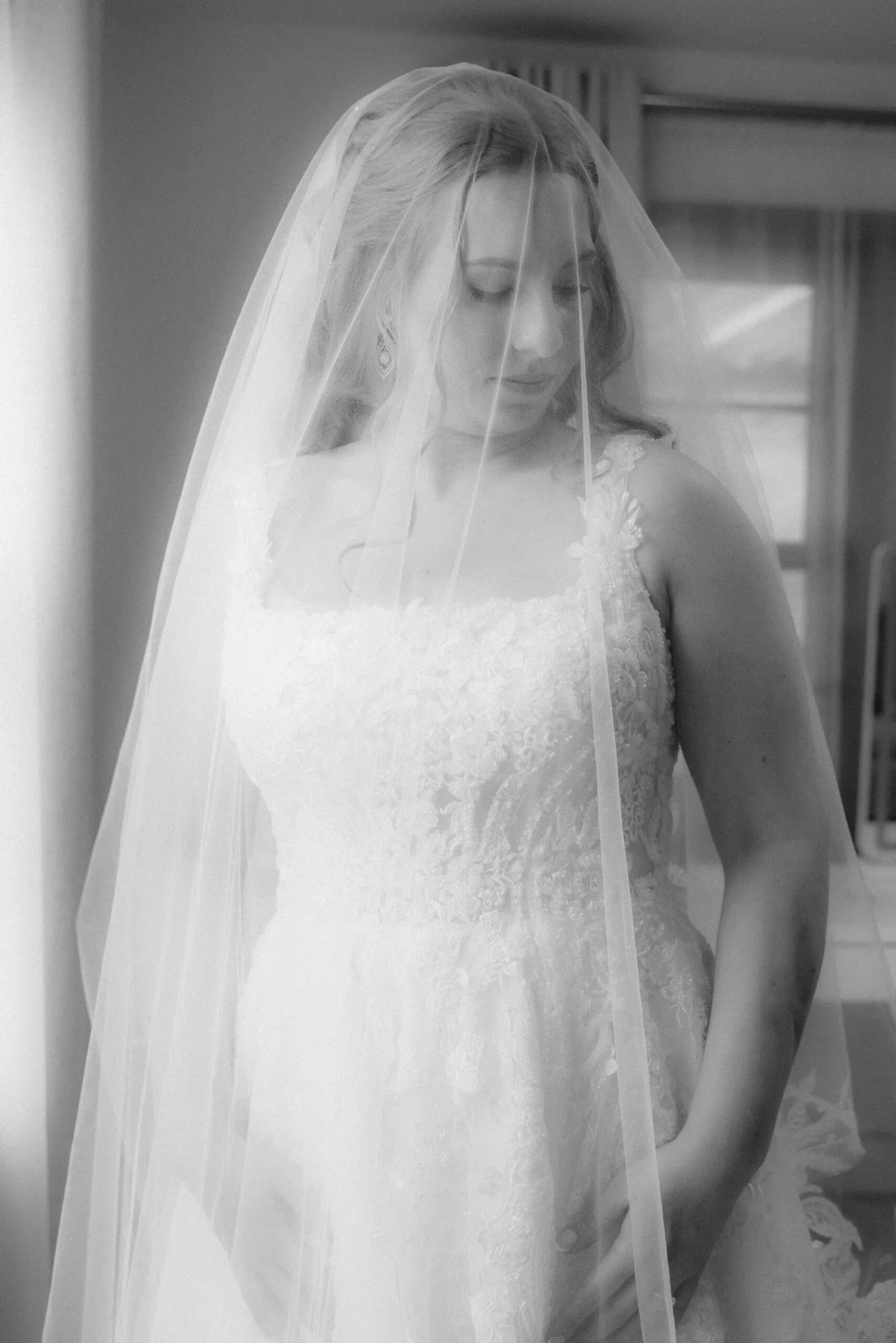 Lena & Alex image 25